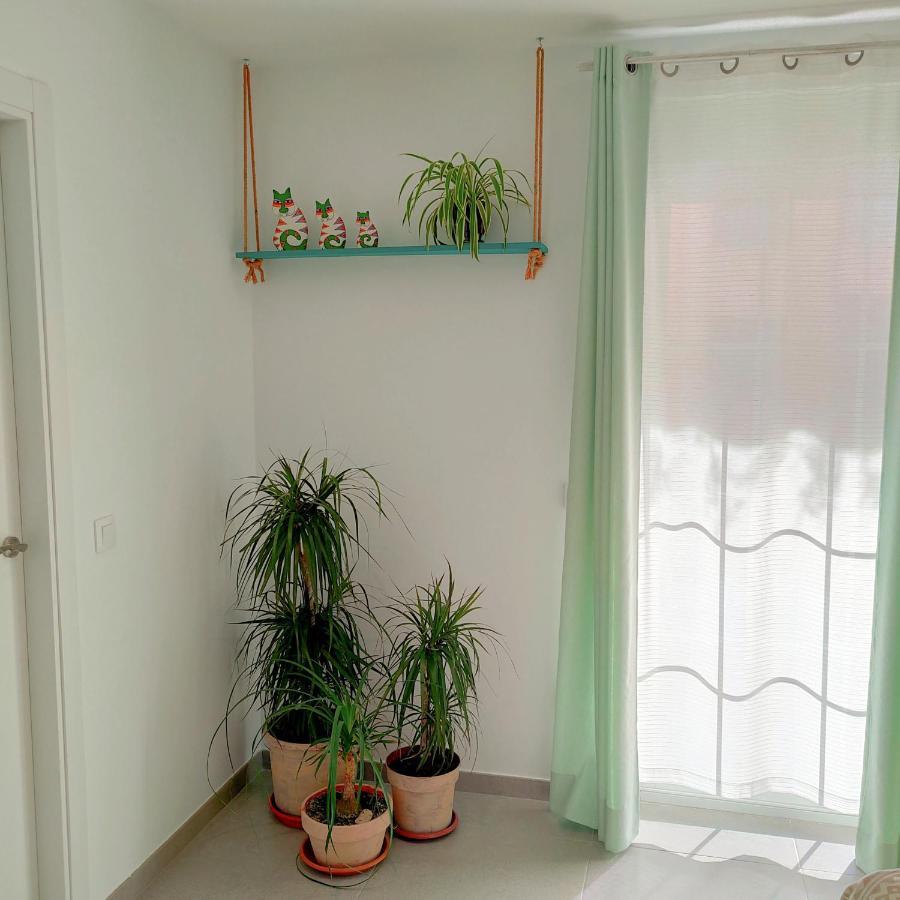 דירות צ'סטה Casa Edrada מראה חיצוני תמונה